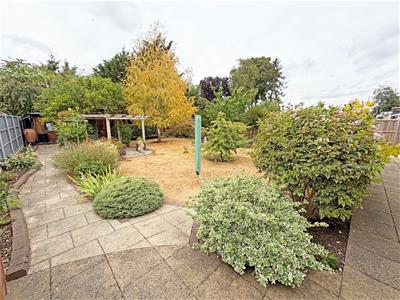 Picture 17